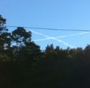 Meet your Posher, Patsy